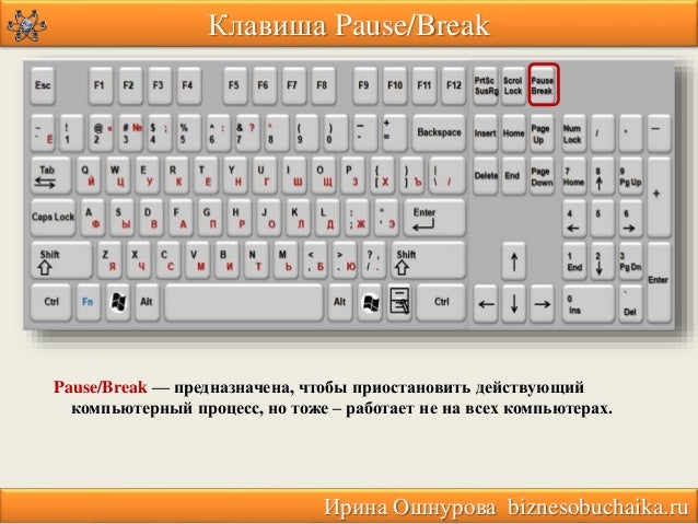 Где находиться кнопка тильда Где находиться кнопка тильда